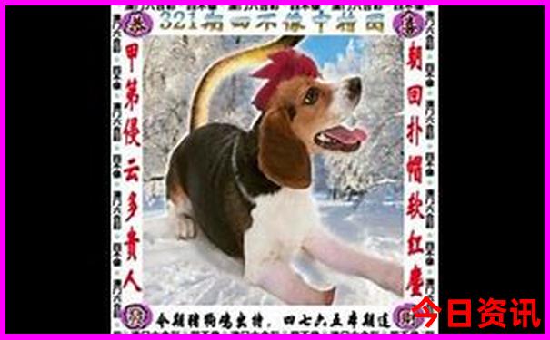 暑假带小孩去哪里旅游不热又好玩