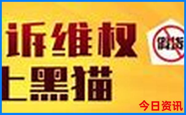 女网排名前十名最新名单