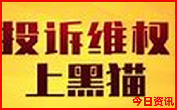 适合夏天去玩的城市